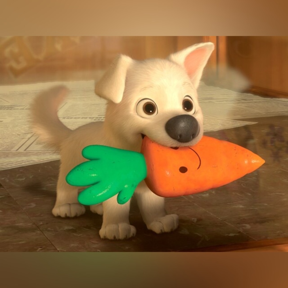 Accepting Holds!!! READ DESCRIPTION